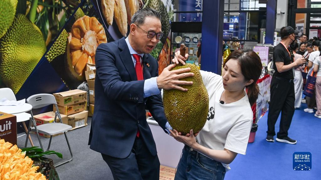 免费彩金白菜